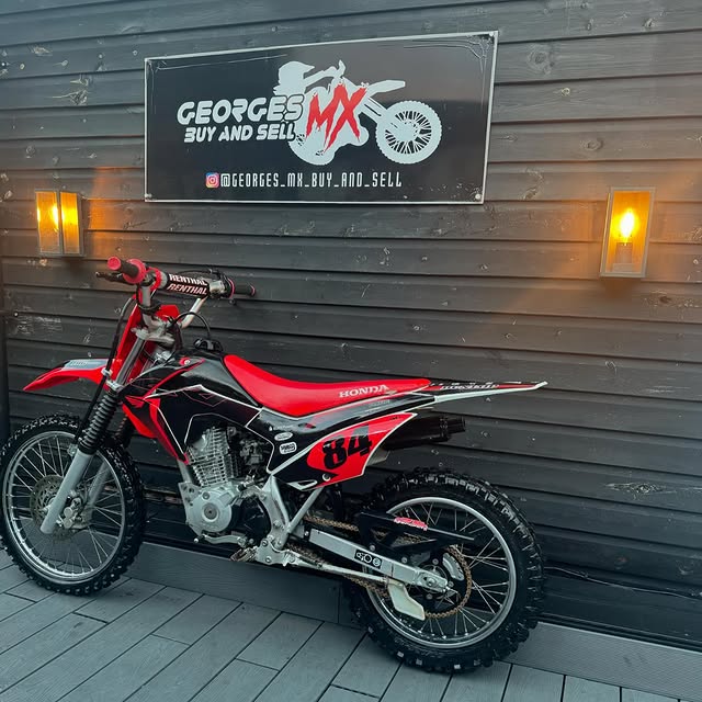 auto draft auto draft