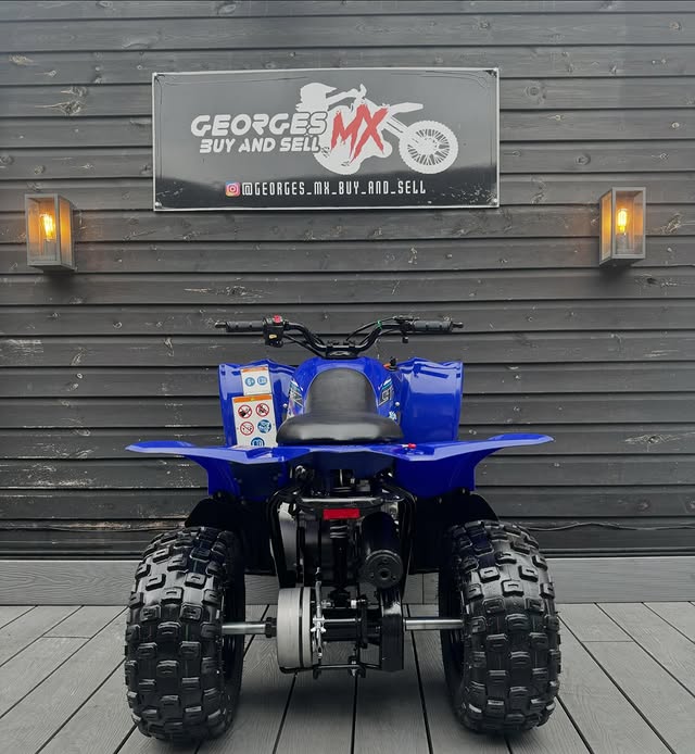 auto draft auto draft